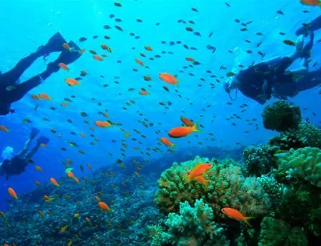 Refugio De Zimbra Apartamento *