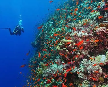 Refugio De Zimbra * Sesimbra